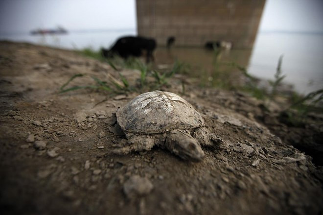 Cựu TTK LHQ cảnh báo biến đổi khí hậu đã tới "điểm không quay lại" ảnh 1