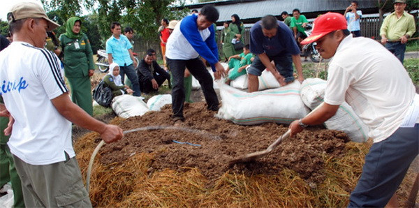 Indonesia được FAO vinh danh nhờ thành công trong chống đói nghèo ảnh 1