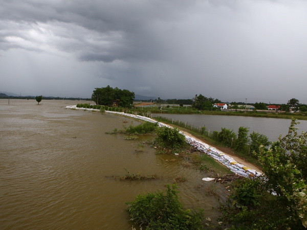 Chương Mỹ trực 24/24 giờ bảo vệ đê tả sông Bùi trước bão số 4 ảnh 1