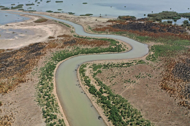 Hạn hán biến "Vườn Địa đàng" của Iraq thành các vùng sa mạc ảnh 2