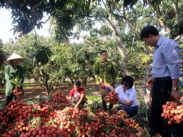 Những sự kiện trong nước nổi bật trong tuần từ ngày 25-31/5 ảnh 1