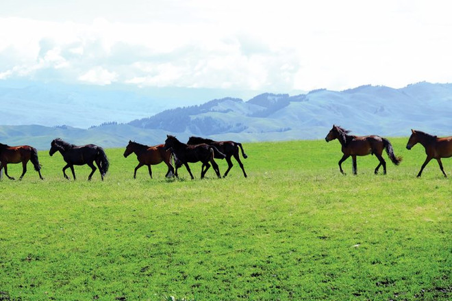 Tân Cương - vẻ đẹp mê hoặc của thiên đường chốn trần gian ảnh 9