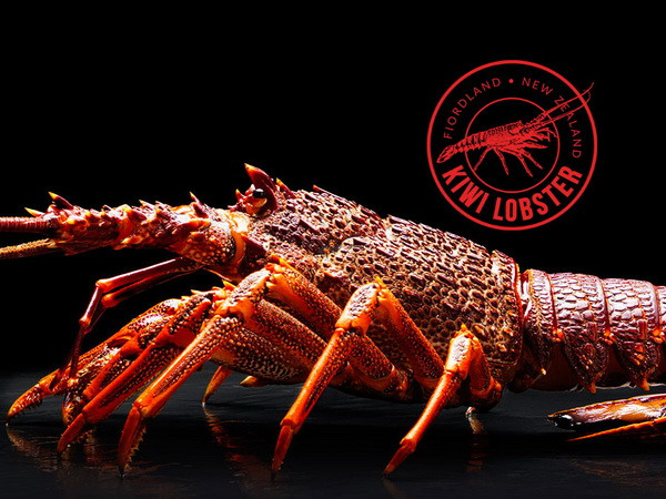 Tôm hùm New Zealand 'tìm đường' vào các kênh online của Trung Quốc ảnh 1