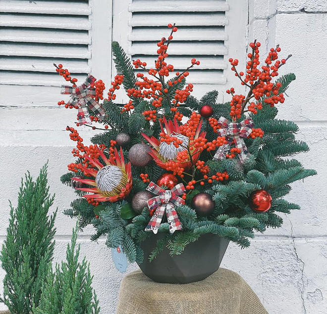 Trang trí mùa Giáng sinh 2020: Cây thông nhập khẩu hút khách ảnh 2