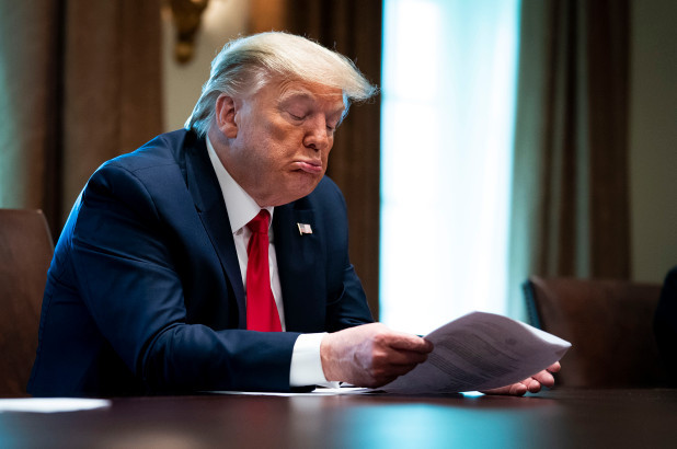 Tổng thống Mỹ Donald Trump chỉ thị tạm ngừng tài trợ WHO ảnh 1