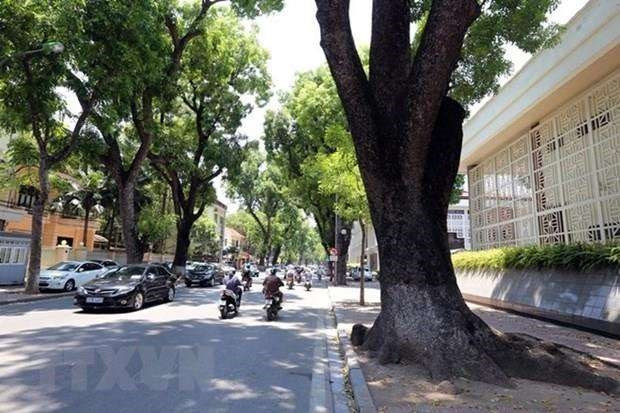 Hà Nội trời hửng nắng. (Ảnh minh họa: TTXVN) Bắc Bộ trưa chiều trời nắng, Tây Nguyên và Nam Bộ chiều tối mưa dông ảnh 1