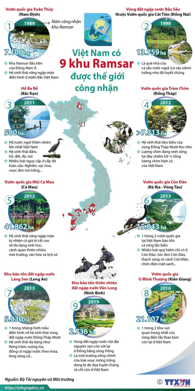 Đất ngập nước chống biến đổi khí hậu: Tấm lá chắn bảo vệ bờ biển ảnh 2