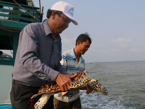 Kiên Giang: Thả hơn 530.000 con giống tái tạo nguồn lợi thủy sản ảnh 1