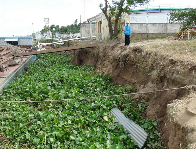 [Photo] Sạt lở sông Tiền lan đến gần bồn chứa 5 triệu lít xăng ảnh 2