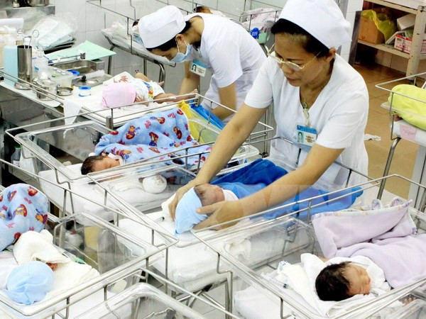 Chăm sóc trẻ sơ sinh. (Ảnh: Dương Ngọc/TTXVN) Tổng tỷ suất sinh trên địa bàn Thành phố Hồ Chí Minh giảm thấp ảnh 1