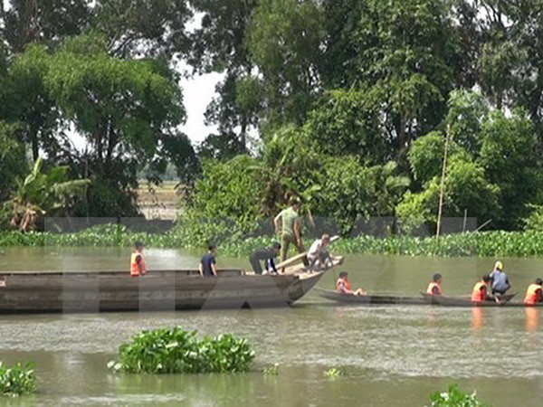 (Ảnh chỉ có tính minh họa: Phạm Thanh Tân/ TTXVN) Vụ lật thuyền ở Cần Giờ: Tìm thấy thi thể thuyền viên mất tích ảnh 1