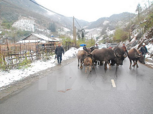 Xây dựng hệ thống quản lý, điều hành khí tượng thủy văn hiện đại ảnh 1