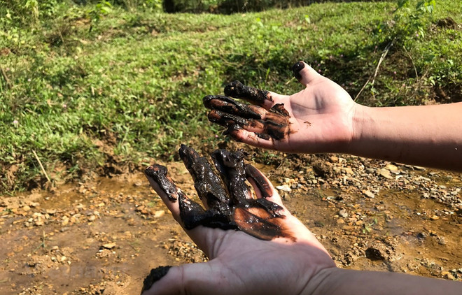 Sự cố nước sạch sông Đà, cháy Rạng Đông: Sao lời xin lỗi khó thế? ảnh 2