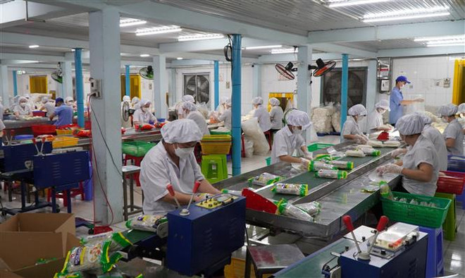 Doanh nghiệp chế biến sản phẩm từ gạo gặp khó vì giá gạo tăng nhanh ảnh 2