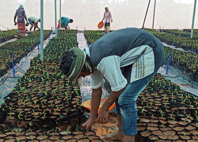 Malaysia giải ngân hơn 4 tỷ USD cho chương trình trợ cấp tiền lương ảnh 1