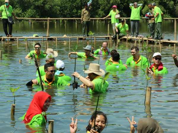 Ngày Trồng rừng ngập mặn ASEAN tại công viên Angke Kapuk ảnh 1
