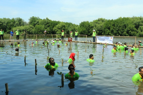 Ngày Trồng rừng ngập mặn ASEAN tại công viên Angke Kapuk ảnh 2
