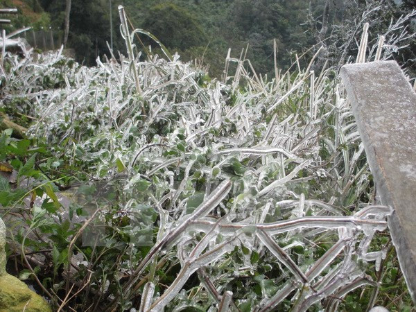 Sự kiện trong nước 20-26/11: Bãi nhiệm chức danh ông Nguyễn Xuân Anh ảnh 6