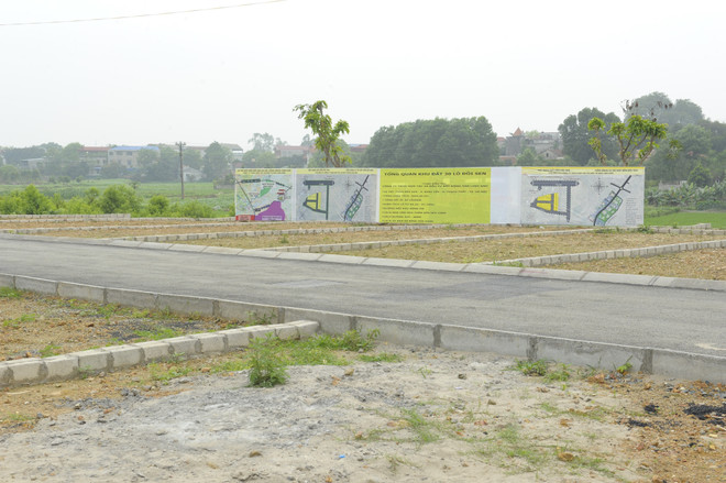 Công ty Savills: Tình trạng 'sốt' đất đang dần lắng xuống ảnh 1