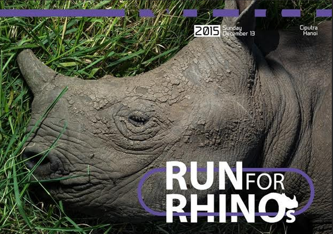 Phát động giải chạy Sông Hồng để "cứu" tê giác khỏi bị tuyệt chủng ảnh 1