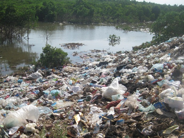 Từ năm 2015, người gây ô nhiễm sẽ phải trả tiền xử lý ô nhiễm ảnh 1