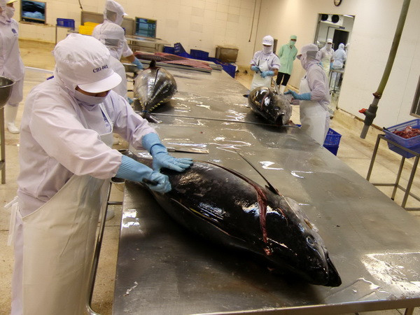 Hạn ngạch EU dành cho các mặt hàng Việt Nam là "hào phóng" ảnh 1