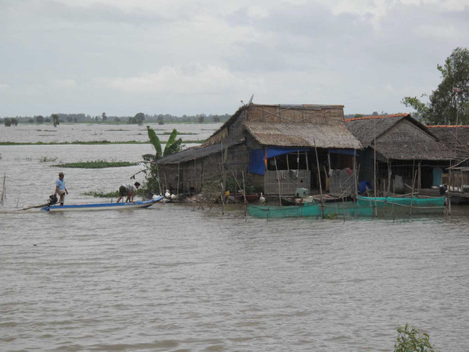 Sông Cửu Long chịu ảnh hưởng 2 đợt triều cường trong tháng 4 ảnh 1