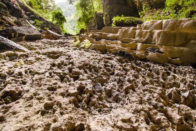 Khám phá rừng nguyên sinh và hang động tuyệt đẹp ở Tú Làn ảnh 2