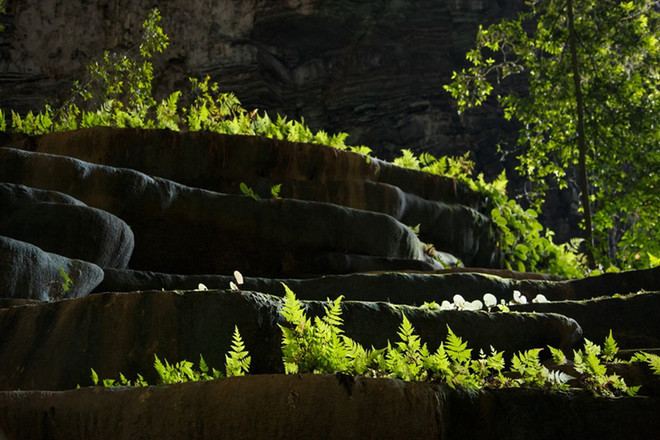 Khám phá rừng nguyên sinh và hang động tuyệt đẹp ở Tú Làn ảnh 5