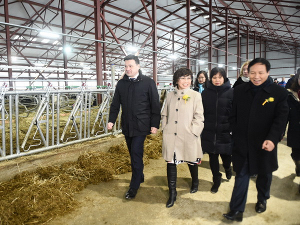 Khánh thành trang trại bò sữa cao sản công nghệ cao đầu tiên tại Nga ảnh 2