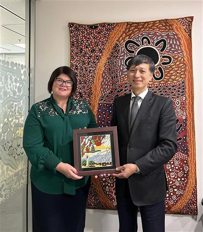 Bang Nam Australia xác định cơ hội hợp tác mới với Việt Nam ảnh 3