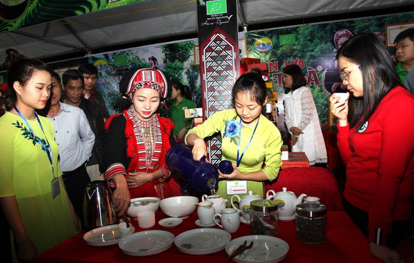 Lễ hội thưởng trà hữu cơ Phìn Hồ nơi cực Bắc Tổ quốc ảnh 2