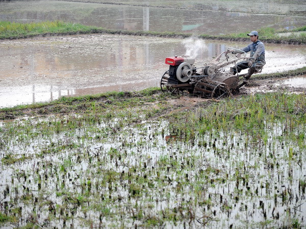Tiến hành xả 2,22 tỷ m3 nước phục vụ sản xuất vụ Đông Xuân ảnh 1