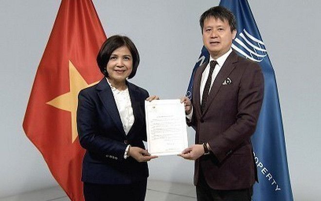 Việt Nam gia nhập Hiệp ước WIPO về buổi biểu diễn và bản ghi âm ảnh 1