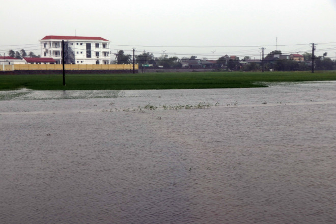 Chủ động các phương án ứng phó, khắc phục, giảm thiệt hại do thiên tai ảnh 1
