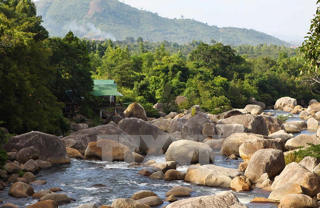 Hợp tác để quản lý bền vững cảnh quan khu vực Tây Nguyên ảnh 1