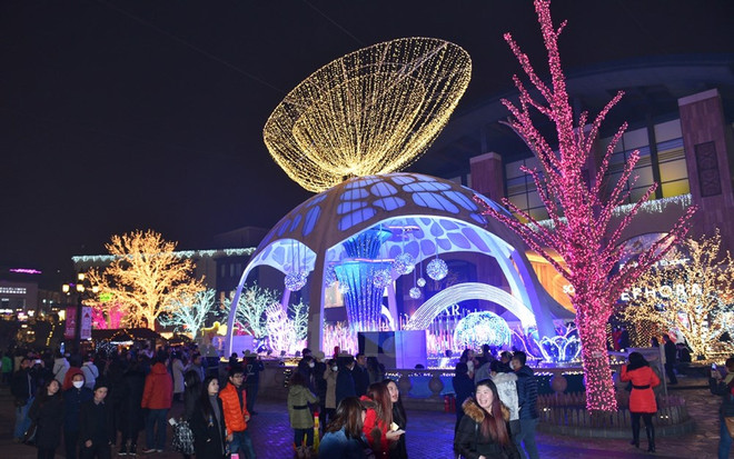 [Video] Romania: Đấu giá cây Giáng sinh quyên tiền cho quỹ vì trẻ em ảnh 1