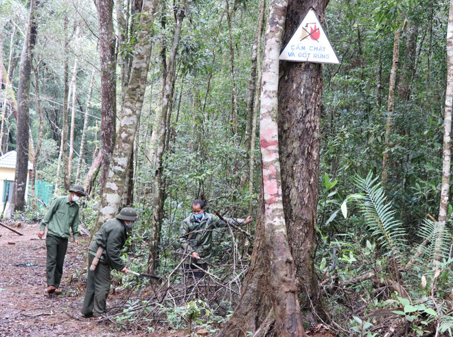 Bảo tồn Khu Dự trữ Sinh quyển Thế giới Cao nguyên Kon Hà Nừng ảnh 2