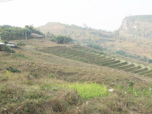 Cuộc sống khó khăn của bản người H'Mông nghèo nhất Bắc Kạn ảnh 2