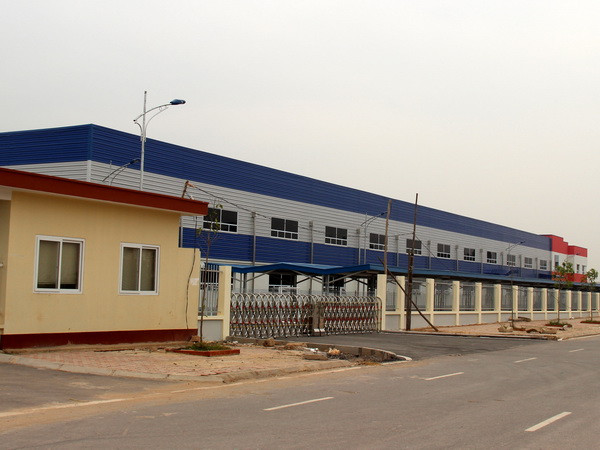 Thành lập Hội đồng vùng kinh tế trọng điểm của từng vùng ảnh 1