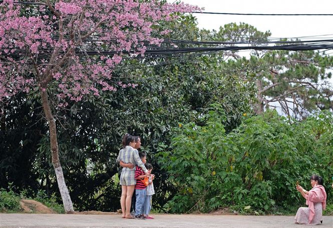 Lâm Đồng đặt mục tiêu đón hơn 5 triệu lượt khách trong năm 2022 ảnh 1