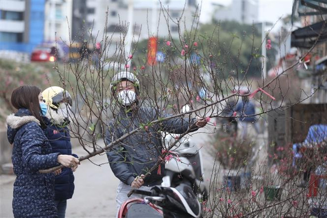 Khả năng rét đậm, rét hại sẽ kéo dài liên tục trong những ngày Tết ảnh 1