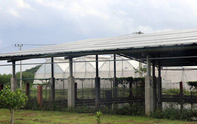 Phú Yên: Điện mặt trời “núp bóng” trong Khu Nông nghiệp Công nghệ cao ảnh 1