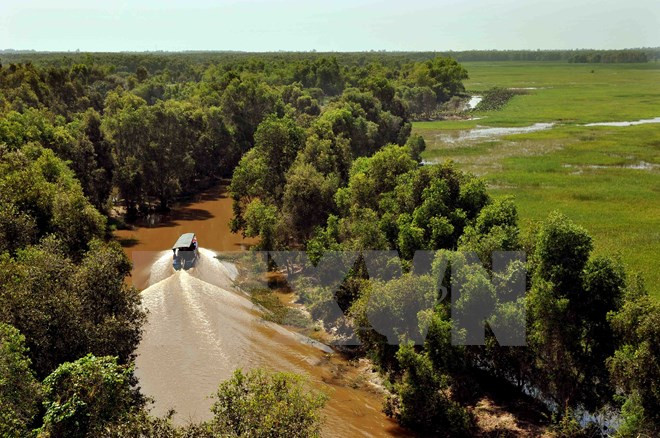 Vườn thực vật đóng vai trò quan trọng trong bảo tồn đa dạng sinh học ảnh 1