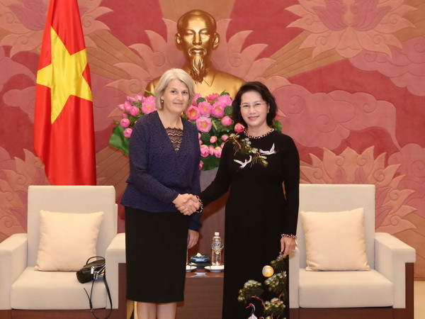 Chủ tịch Quốc hội tiếp Đại sứ Đan Mạch và Đại sứ Thụy Điển ảnh 1