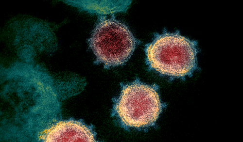 Viên nén chứa thuốc điều trị HIV không có tác dụng chống SARS-CoV-2 ảnh 1