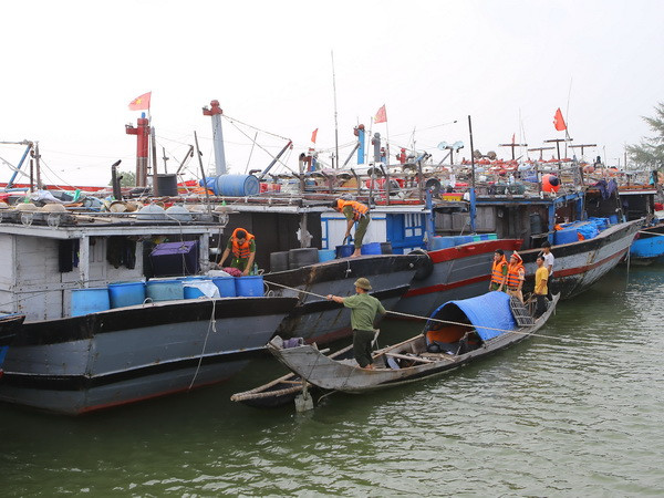 Các địa phương khẩn cấp triển khai biện pháp phòng chống bão ảnh 1