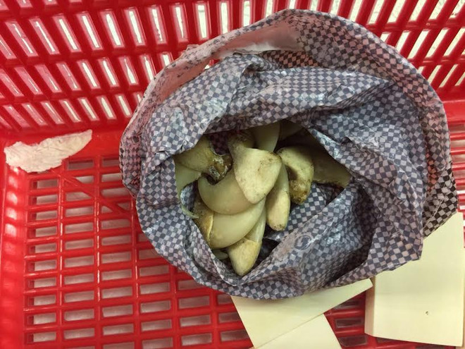 Bắt người phụ nữ mang 3 bộ da báo gấm qua cửa khẩu Tân Sơn Nhất ảnh 3