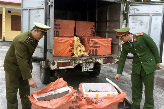 Bắc Giang: Tiêu hủy hơn 1 tấn sản phẩm động vật không rõ nguồn gốc ảnh 1