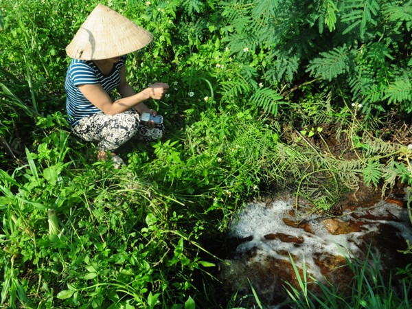 Nước thải từ khu xử lý thức ăn của Công ty cổ phần sữa TH True Milk. (Ảnh: PV/Vietnam+) Dự án bò sữa TH True Milk ảnh hưởng đến sức khỏe dân? ảnh 1